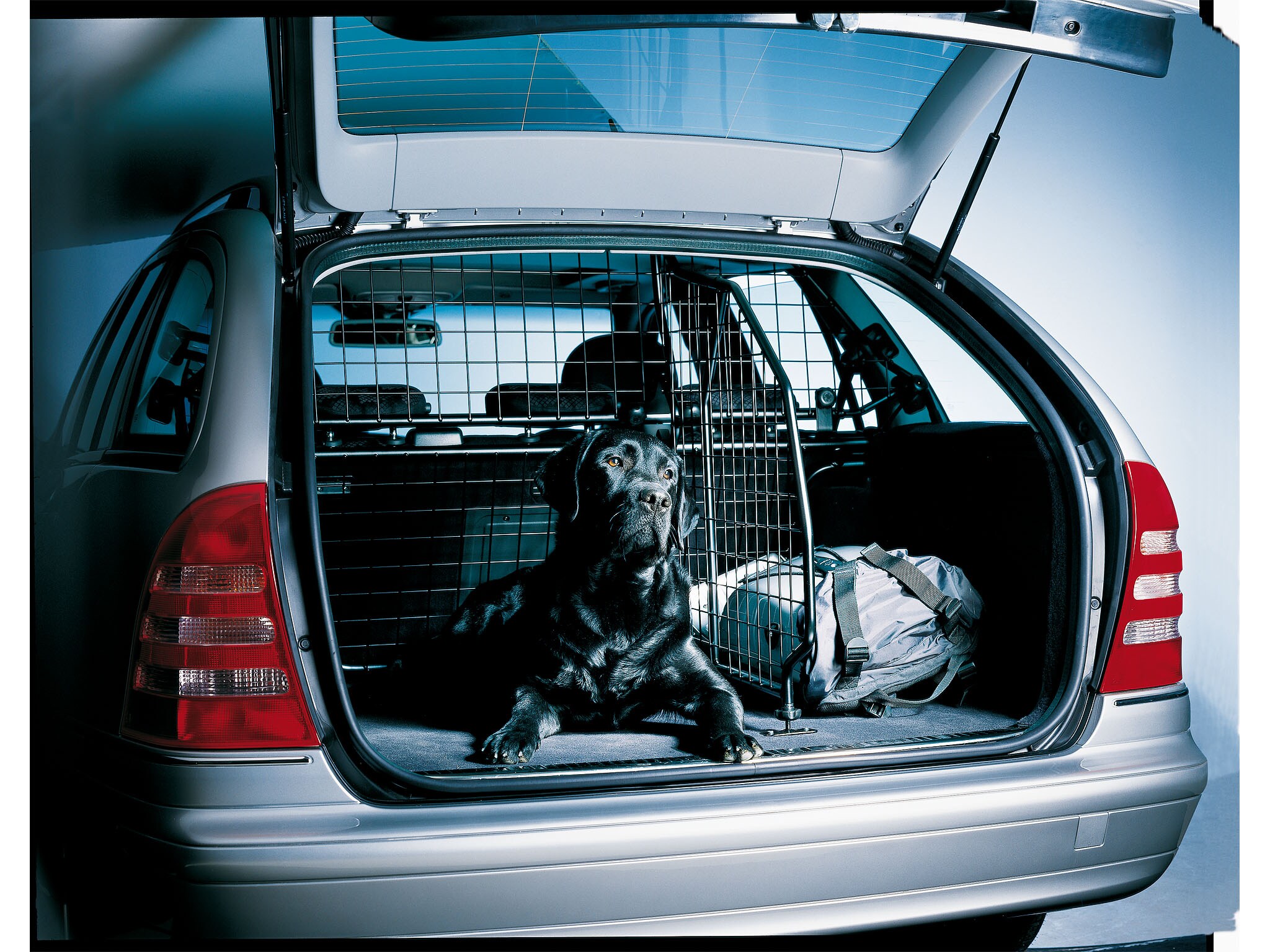 Mercedes-Benz - Trenngitter, oben Trenngitter, oben