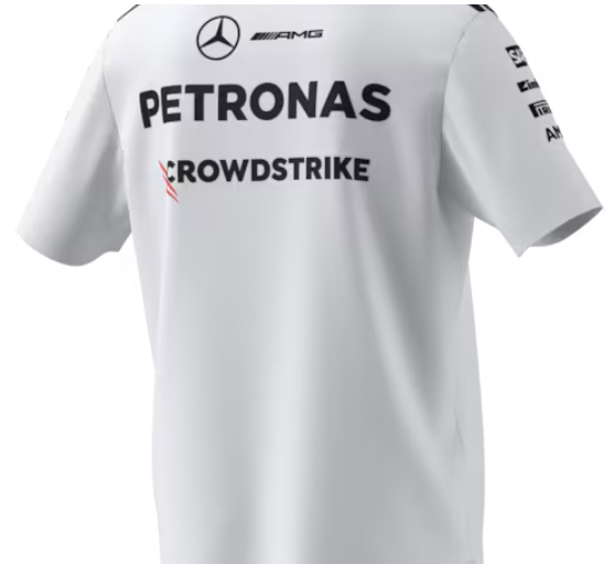 Poloshirt Herren, Team, Mercedes-AMG F1 weiß