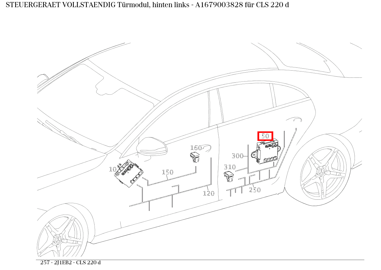 Steuergerät vollständig Türmodul, hinten links CLS 220 d 257