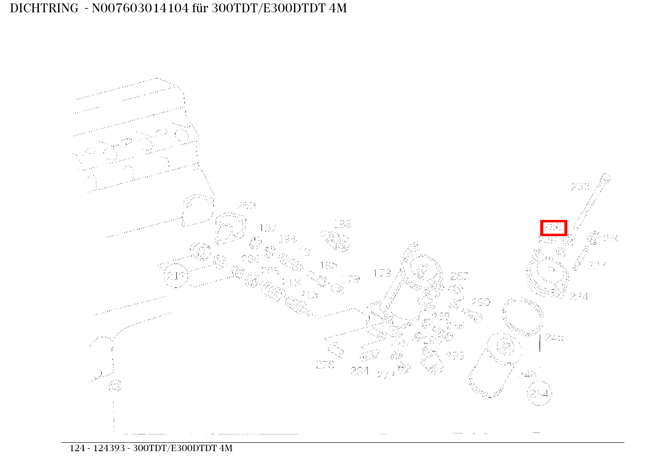 Dichtring 300TDT/E300DTDT 4M 124