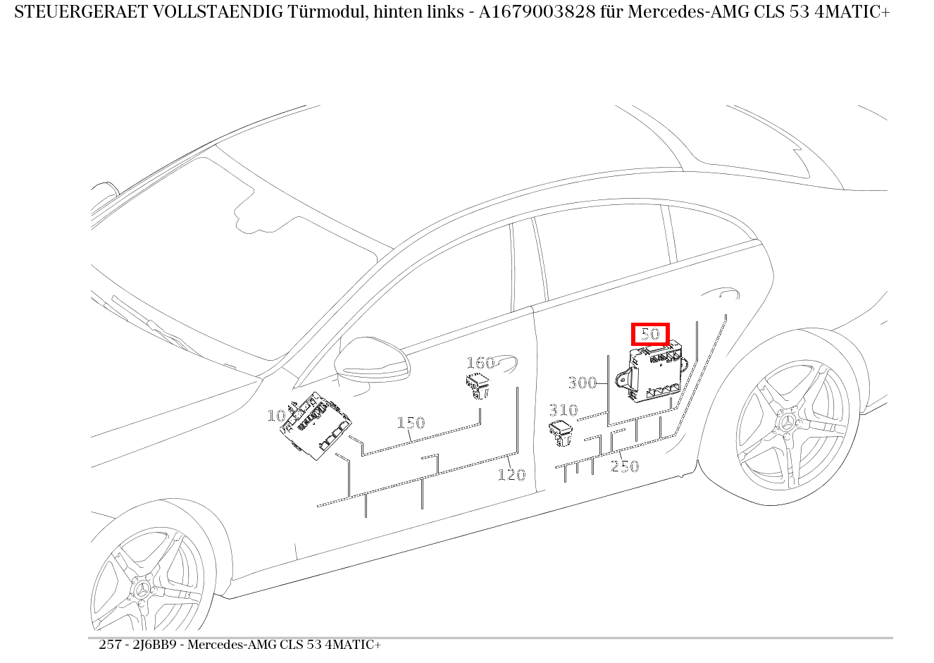 Steuergerät vollständig Türmodul, hinten links Mercedes-AMG CLS 53 4MATIC+ 257