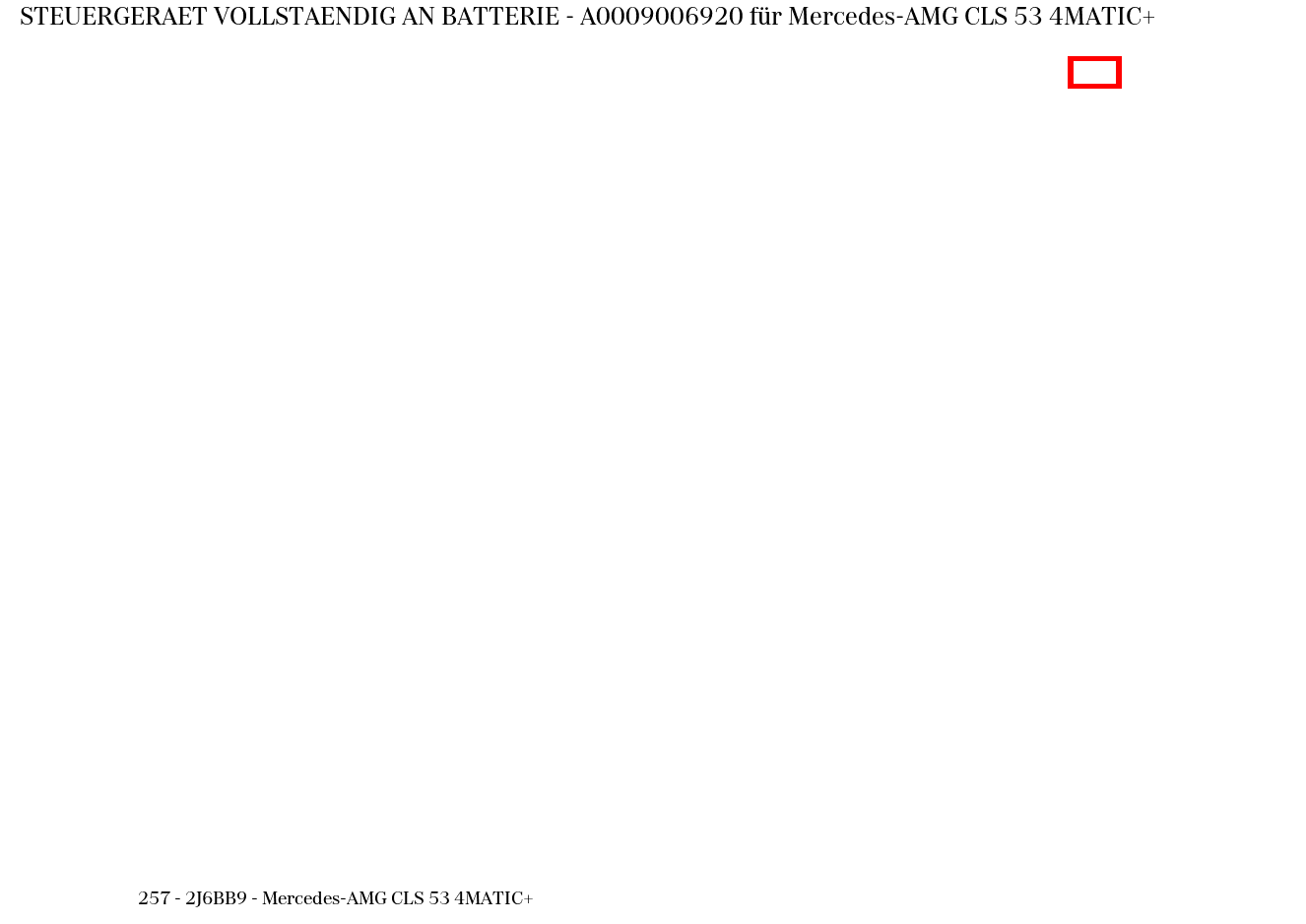 Steuergerät vollständig AN BATTERIE Mercedes-AMG CLS 53 4MATIC+ 257
