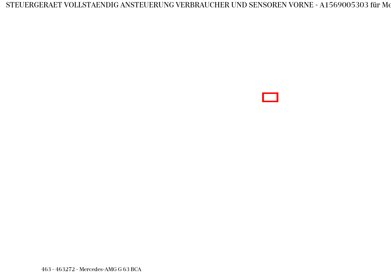 Steuergerät vollständig ANSTEUERUNG VERBRAUCHER UND SENSOREN VORNE Mercedes-AMG G 63 BCA 463