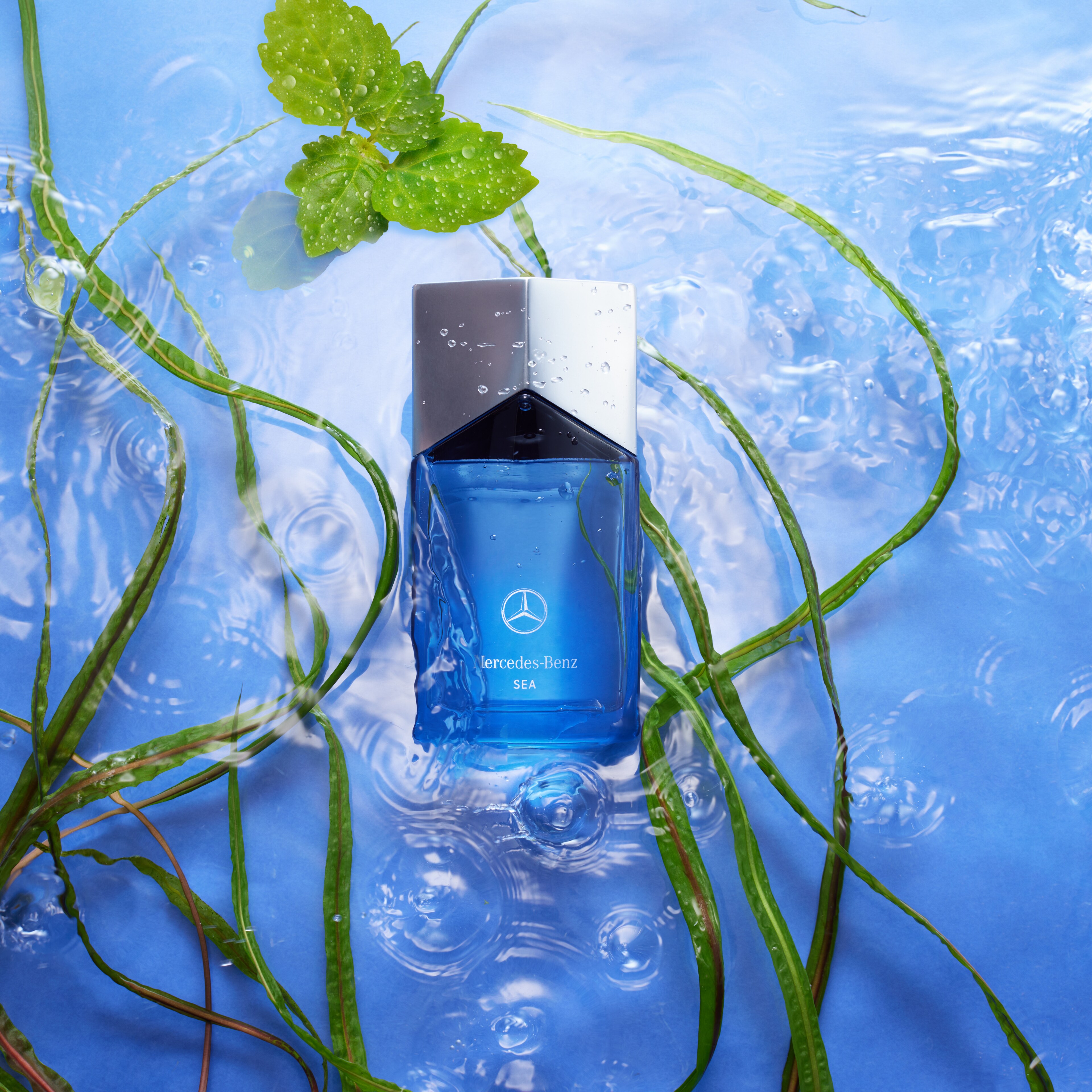 Pairing Ingredients LSA