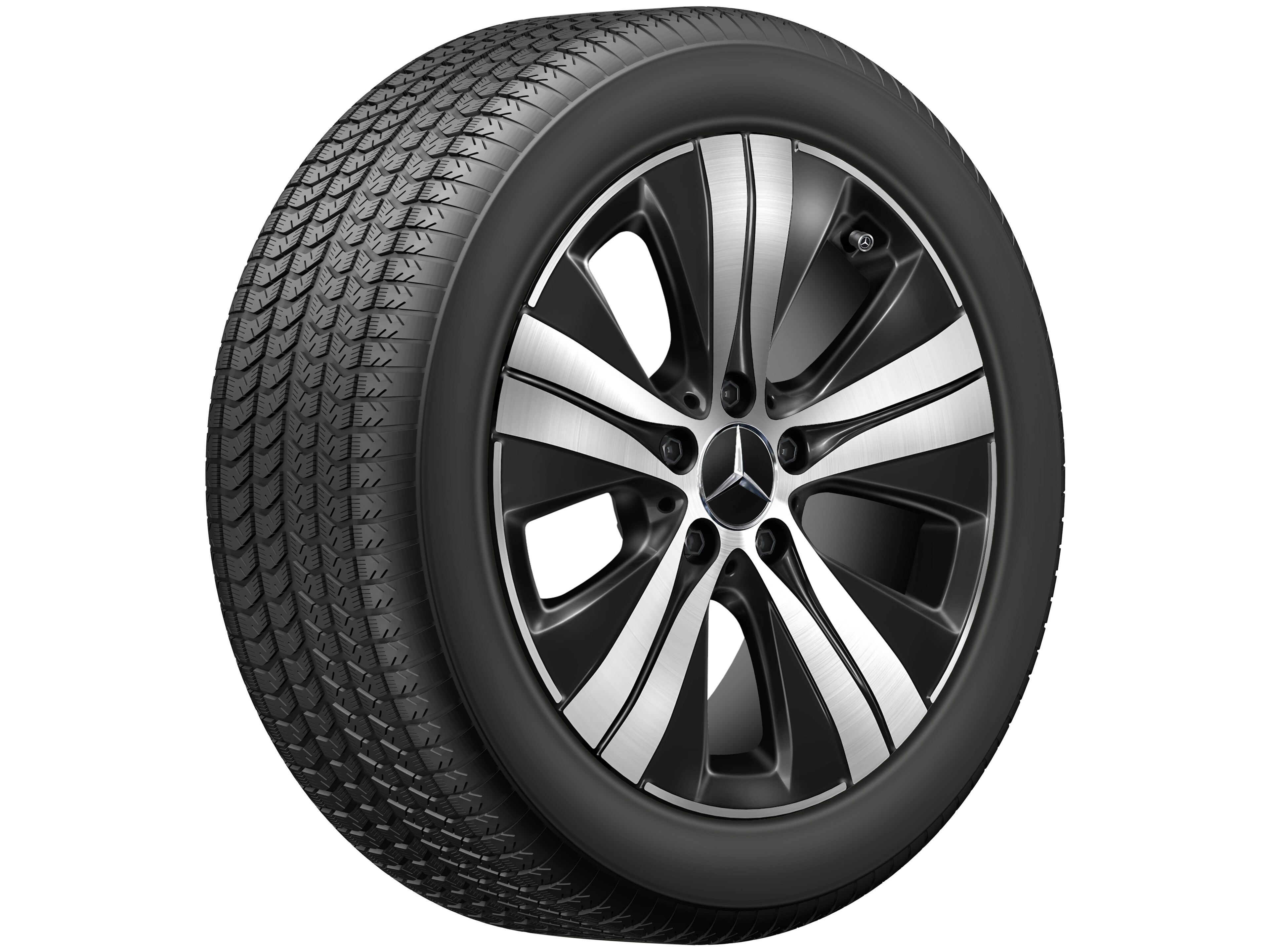 A20640141007X23_V01_Winter_F_300