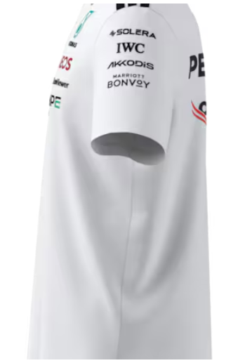 Poloshirt Herren, Team, Mercedes-AMG F1 weiß