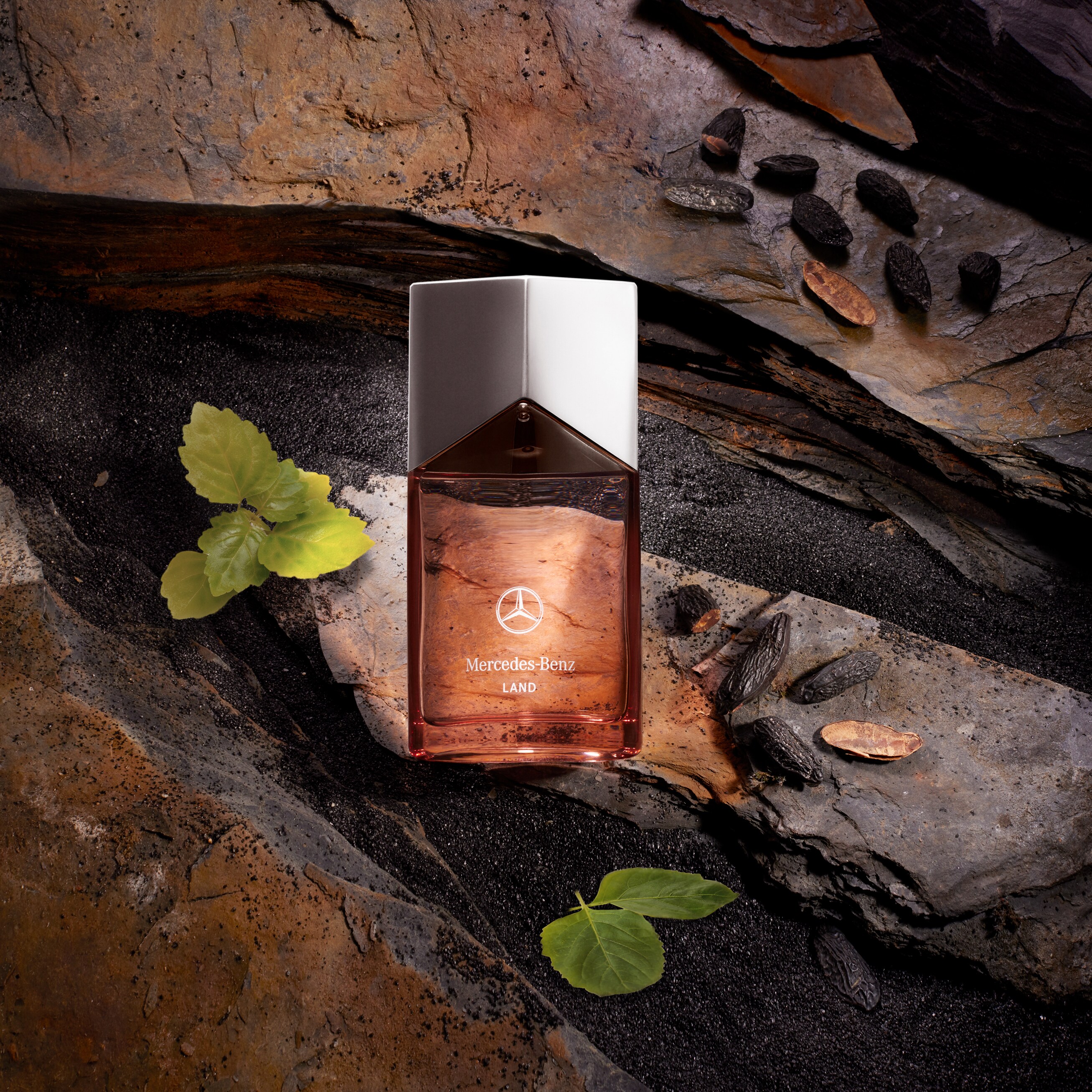 Pairing Ingredients LSA