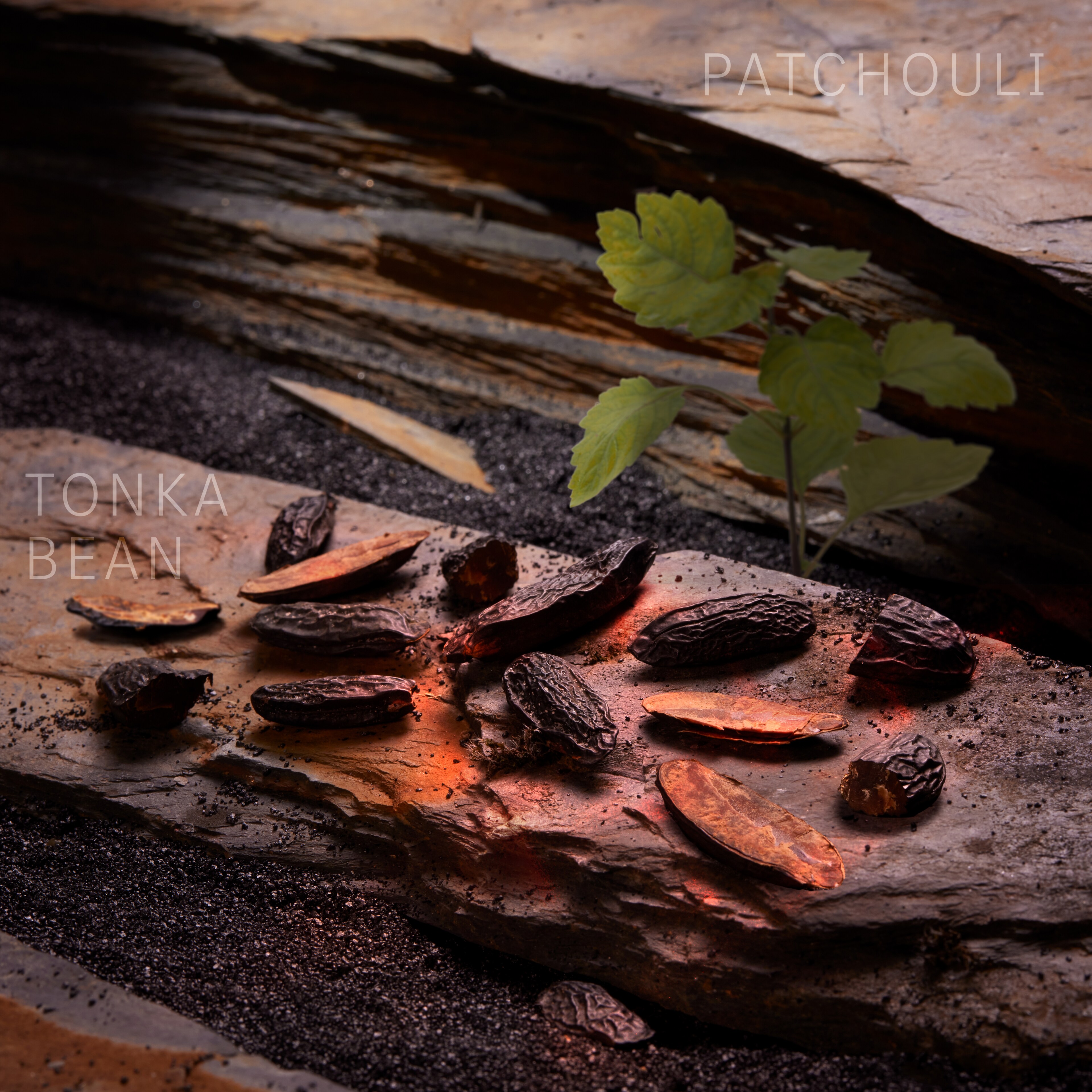 Pairing Ingredients LSA