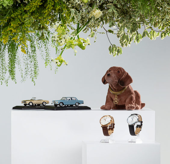 Abgebildet sind Collection Artikel. Zwei Modellautos B66040665 und B66040707, ein Wackeldackel B66041451und zwei Uhren B66041617 und B66041928. Alles präsentiert vor einem weißen Hintergrund. Das Bild verlinkt auf die Kategorie: Accessoires. Abgebildet sind Collection Artikel. Zwei Modellautos B66040665 und B66040707, ein Wackeldackel B66041451und zwei Uhren B66041617 und B66041928. Alles präsentiert vor einem weißen Hintergrund. Das Bild verlinkt auf die Kategorie: Accessoires.